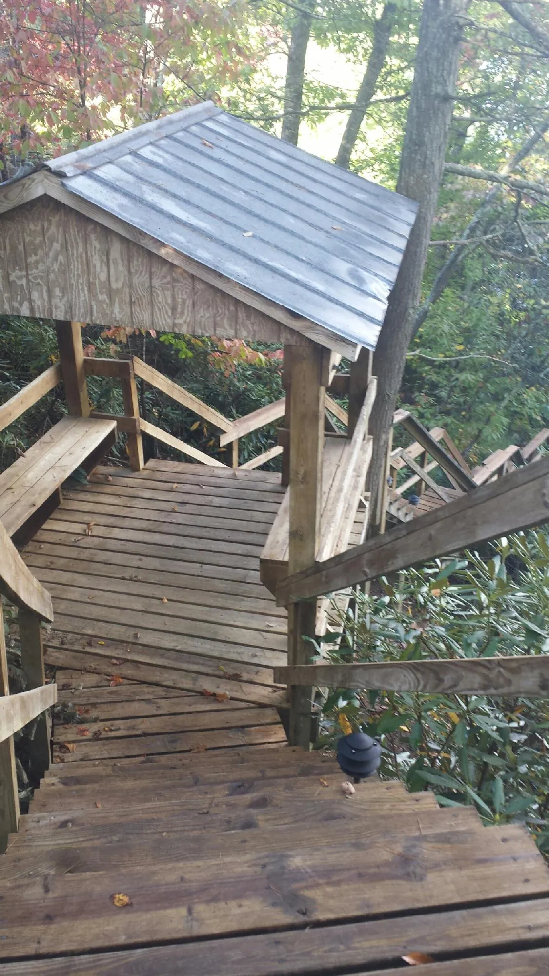Metal roofed shelter over wooden steps on a wooded walkway — Skylight Repair & Installation work by our crew in Olympia