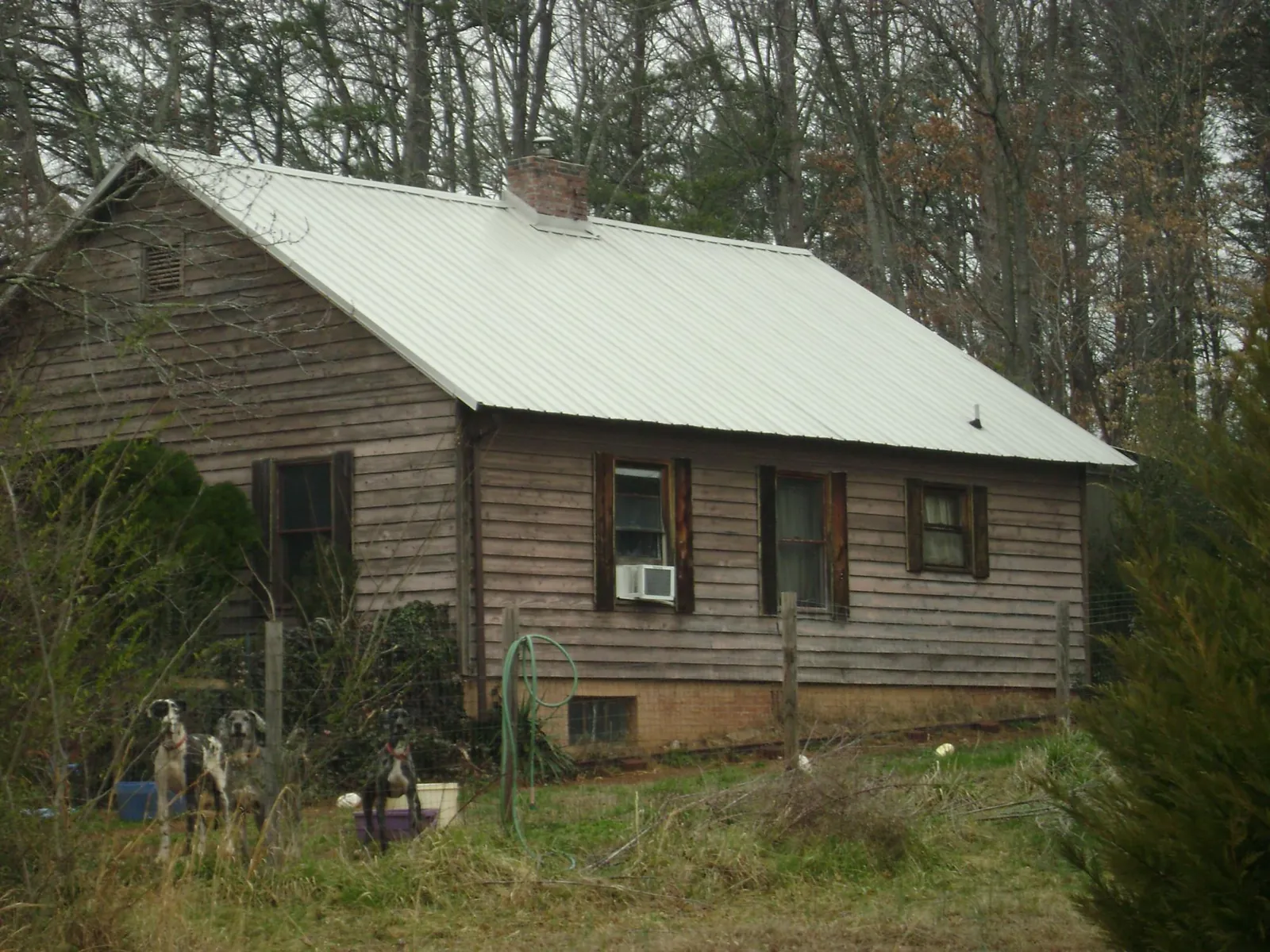 White metal roof on an old wood sided farmhouse, from a Metal Roof Installation job in Olympia
